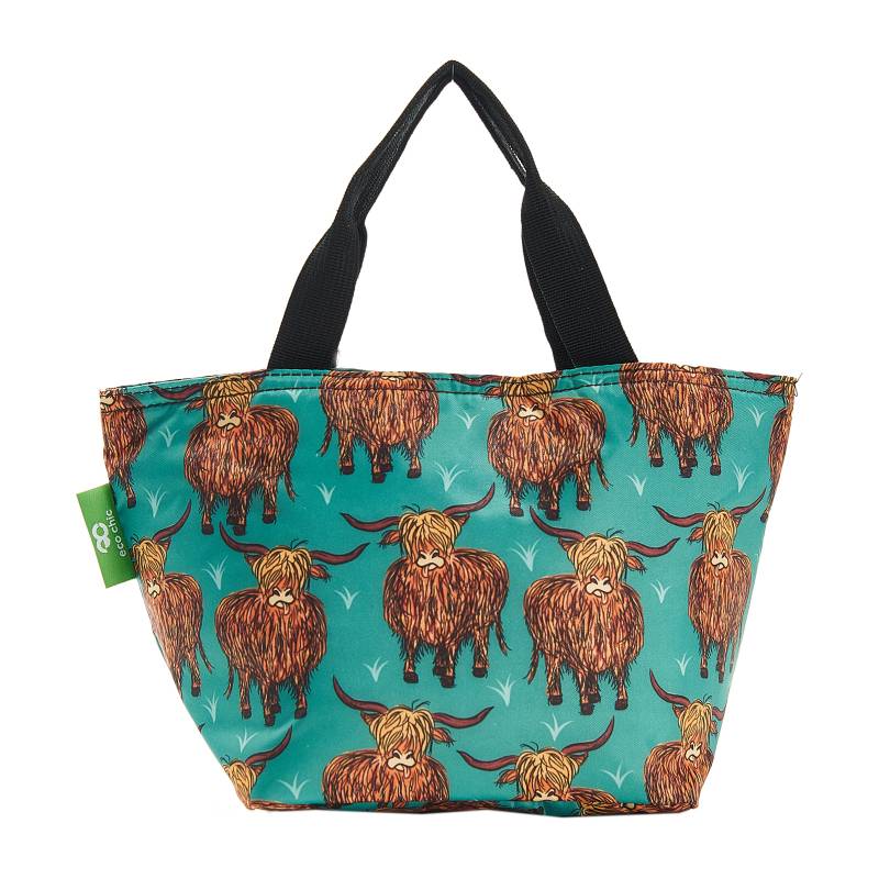 Insulated Lunch Bag (made from recycled bottles)