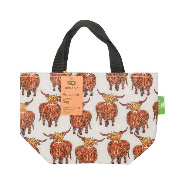 Insulated Lunch Bag (made from recycled bottles)