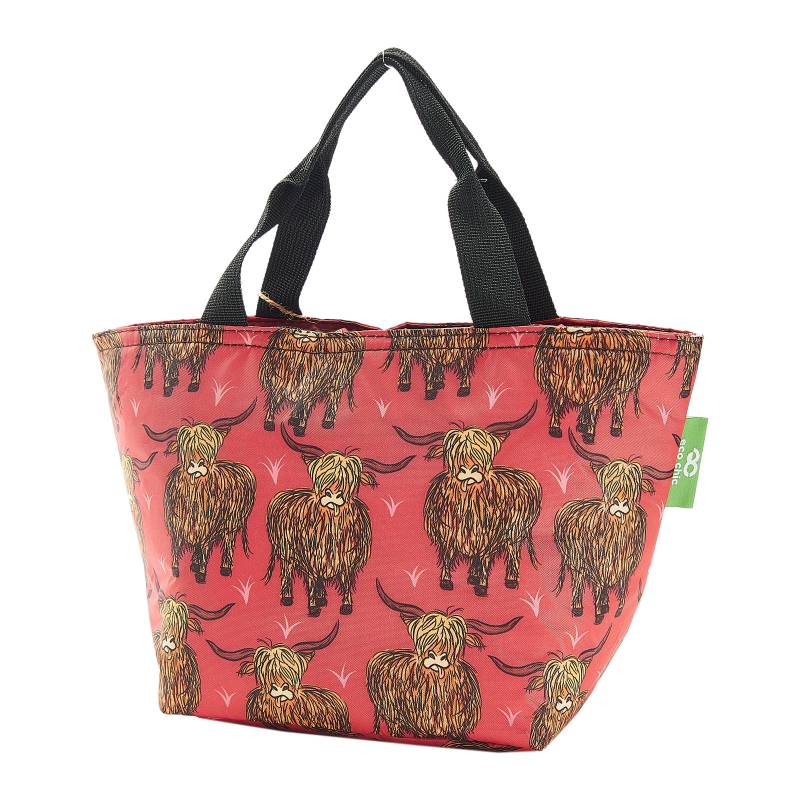 Insulated Lunch Bag (made from recycled bottles)