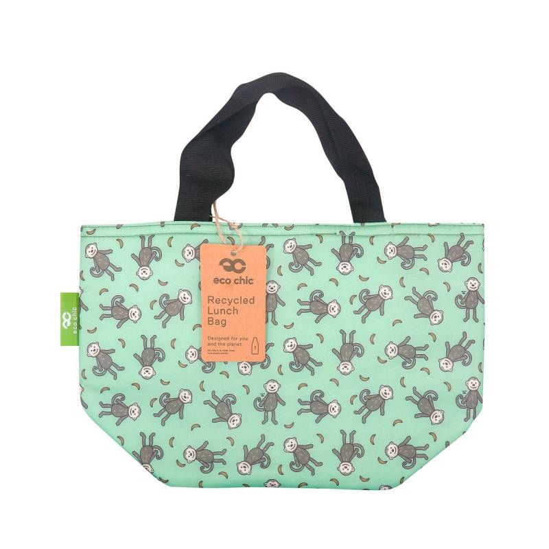 Insulated Lunch Bag (made from recycled bottles)