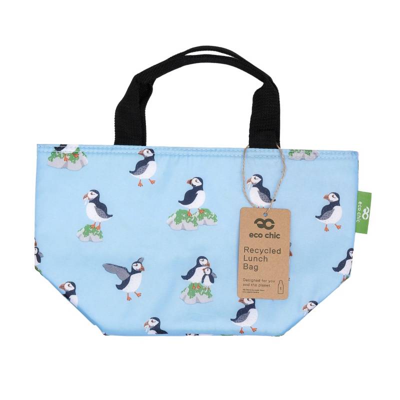 Insulated Lunch Bag (made from recycled bottles)