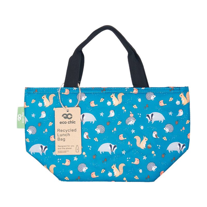 Insulated Lunch Bag (made from recycled bottles)