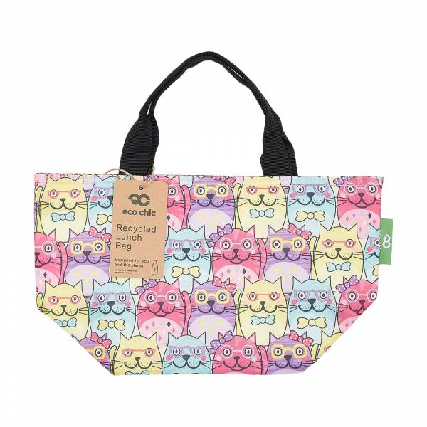 Insulated Lunch Bag (made from recycled bottles)