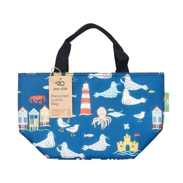Insulated Lunch Bag (made from recycled bottles)