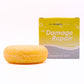 Shampoo Bars