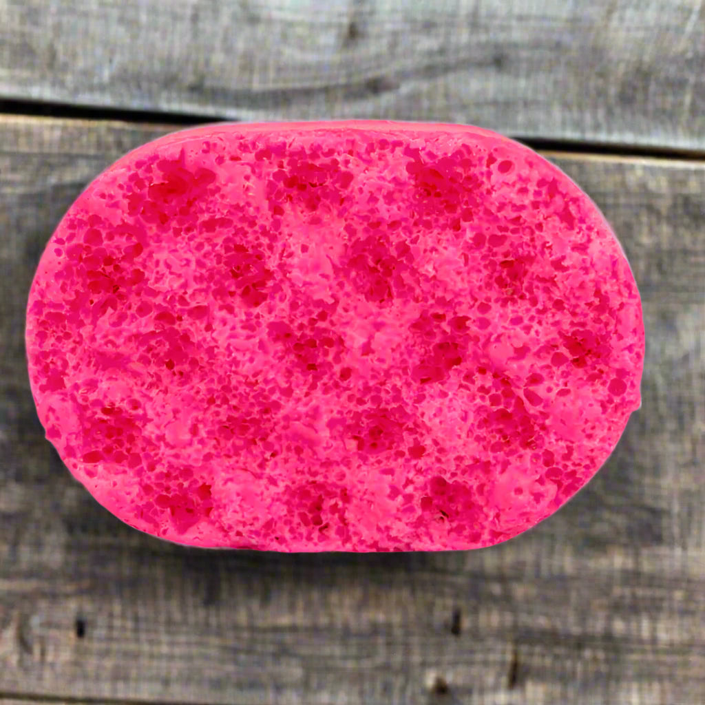 Travel Soap Sponge